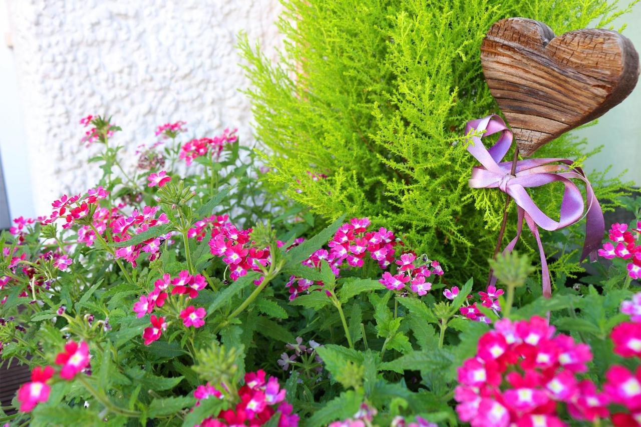 Schenna Garni Eden Bed & Breakfast ภายนอก รูปภาพ